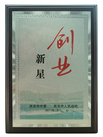 創(chuàng)業(yè)新星